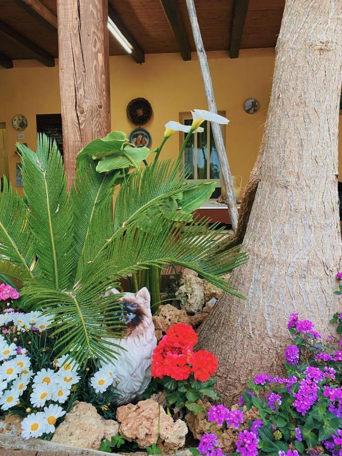Hotel La Casa di Anna Marsala Esterno foto